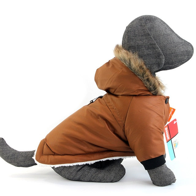 Warm Waterproof Coat for Small Dog