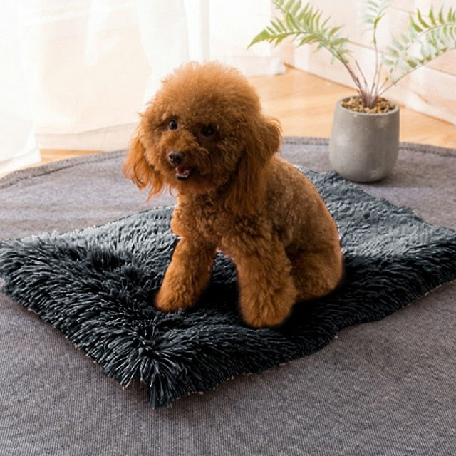 Soft Fleece Pet Cushion