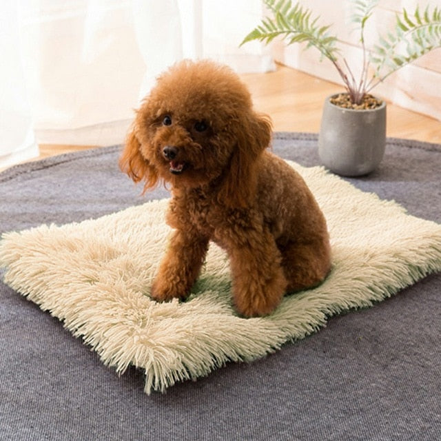 Soft Fleece Pet Cushion